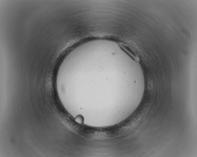 X0000111520256200908041250