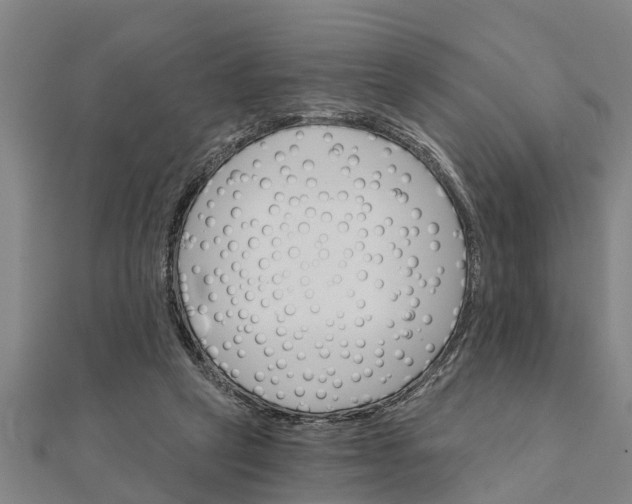 X0000111520257200908041250