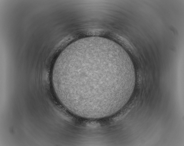 X0000111520258200908041250
