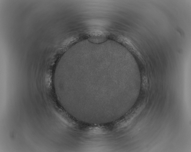 X0000111520259200908041250