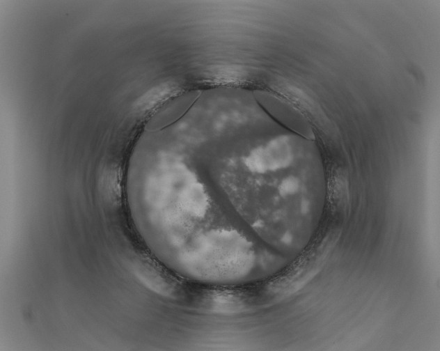 X0000111520264200908041250