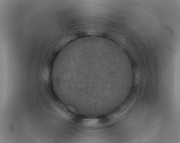 X0000111520266200908041250