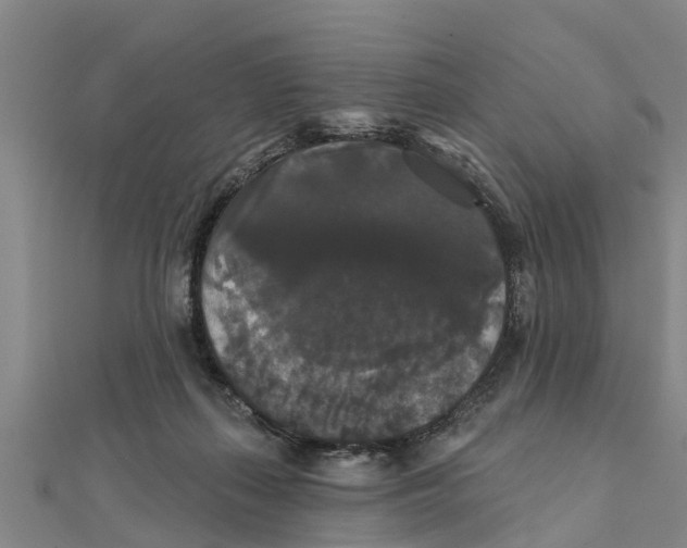 X0000111520267200908041250