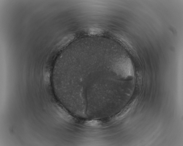 X0000111520269200908041250