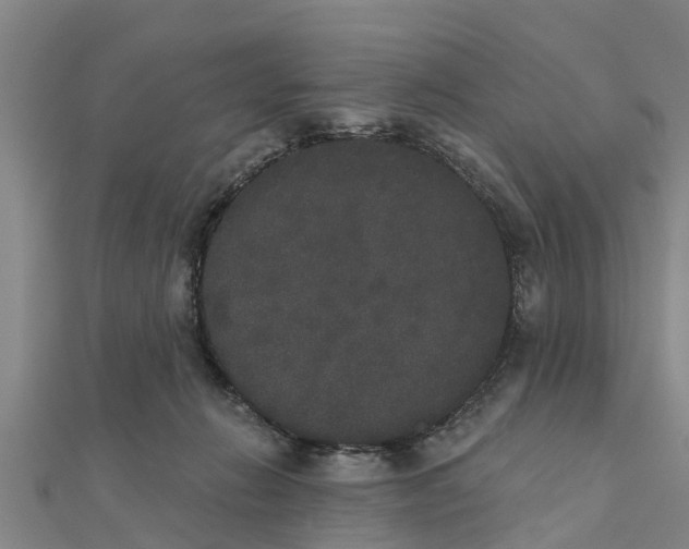 X0000111520270200908041250