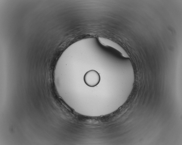 X0000111520272200908041250
