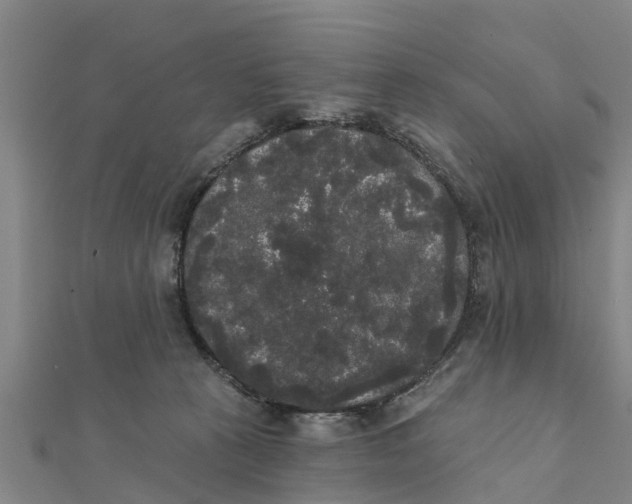 X0000111520273200908041250
