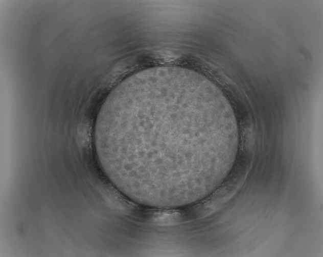 X0000111520274200908041250