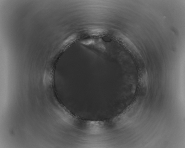 X0000111520277200908041250