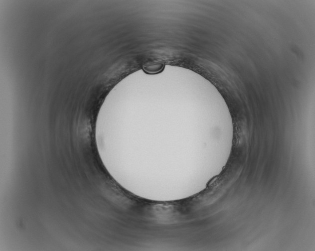 X0000111520279200908041250