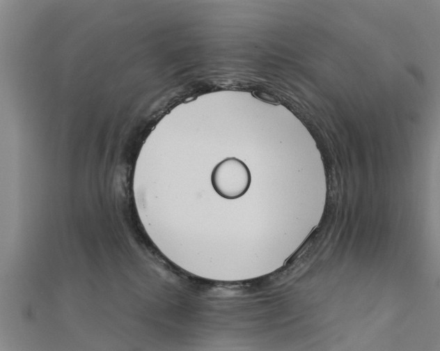X0000111520280200908041250