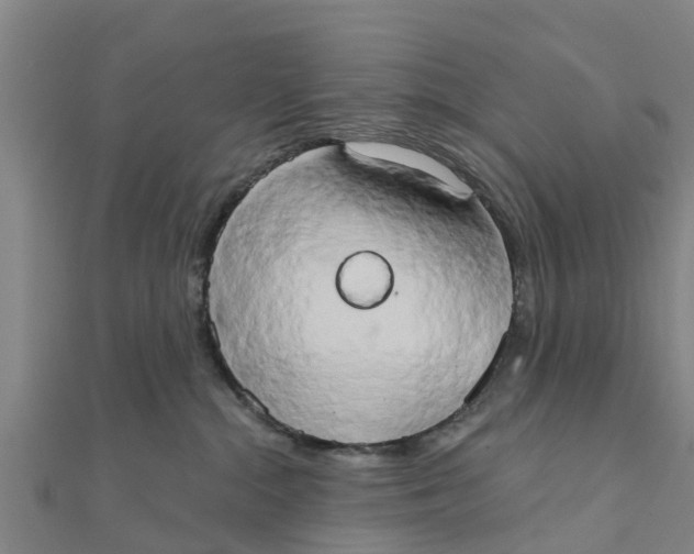 X0000111520284200908041250