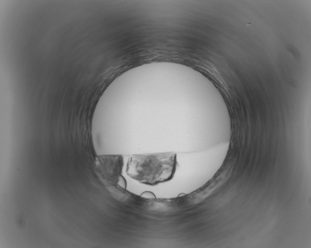 X0000111520285200908041250