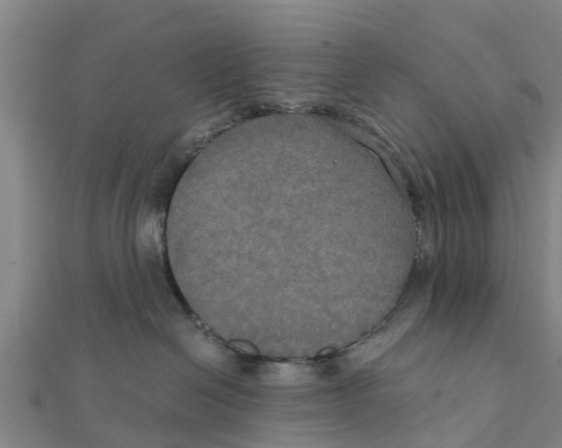 X0000111520286200908041250