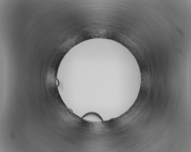 X0000111520287200908041250