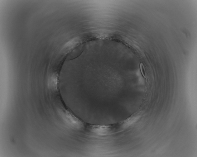 X0000111520288200908041250
