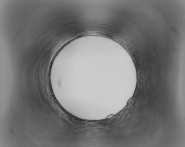 X0000111520289200908041249