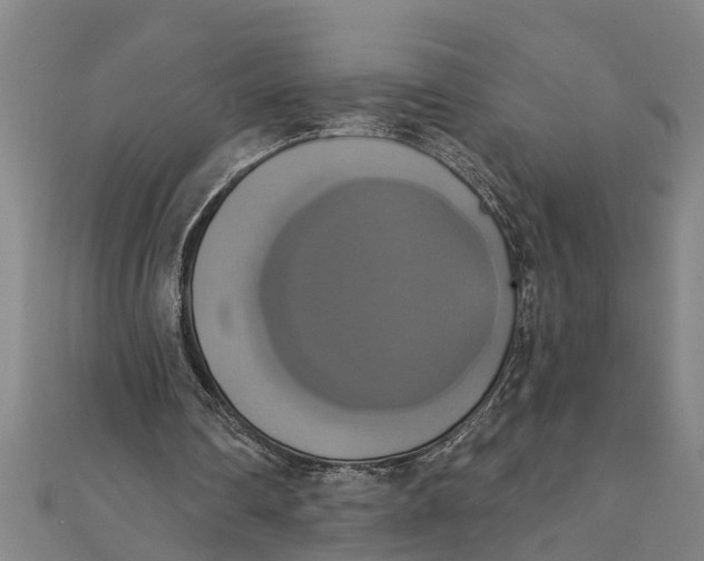X0000111520290200908041249