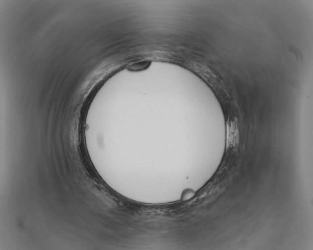 X0000111520291200908041249
