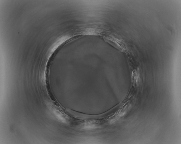 X0000111520292200908041249