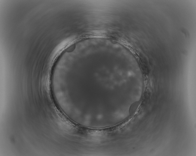 X0000111520293200908041249