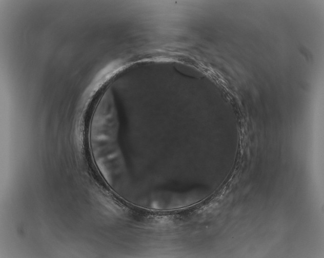 X0000111520295200908041249