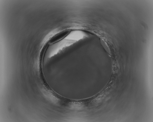 X0000111520296200908041249