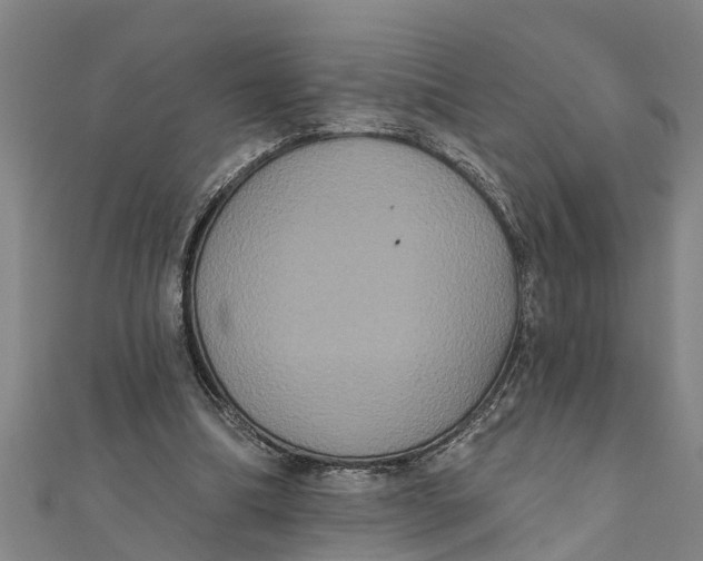 X0000111520298200908041249