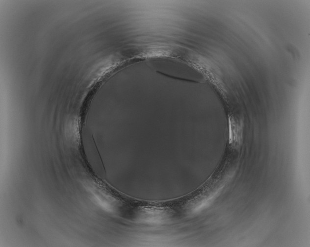 X0000111520300200908041249