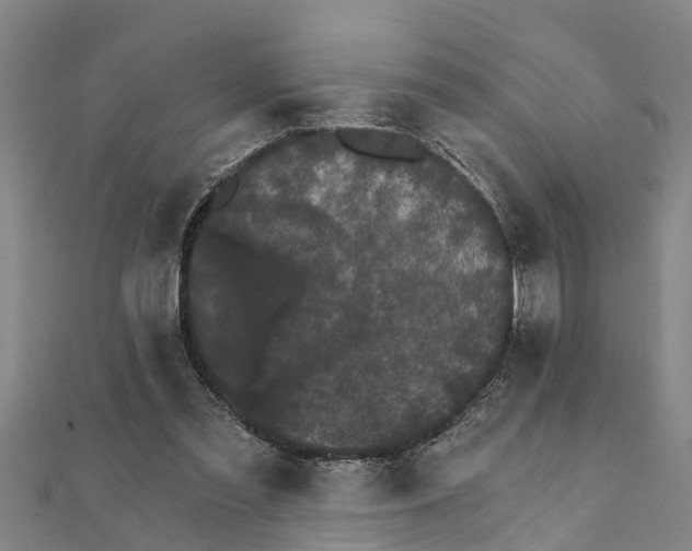 X0000111520301200908041249