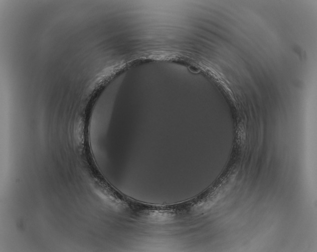 X0000111520303200908041249