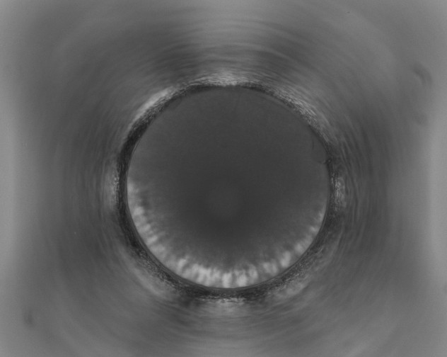 X0000111520304200908041249