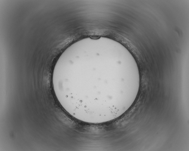 X0000111520305200908041249