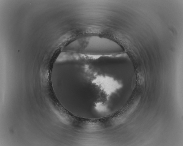 X0000111520308200908041249