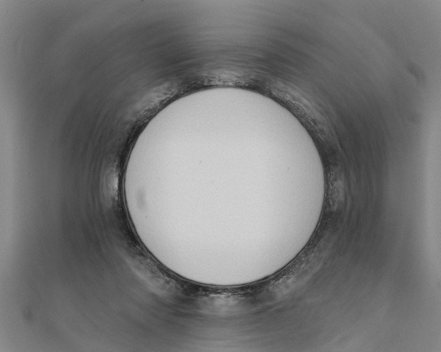 X0000111520310200908041249