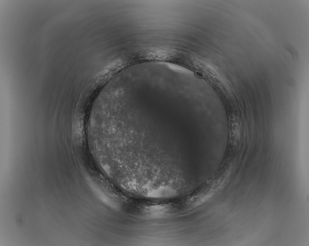 X0000111520312200908041249