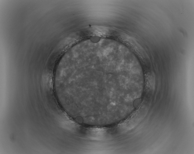 X0000111520313200908041249