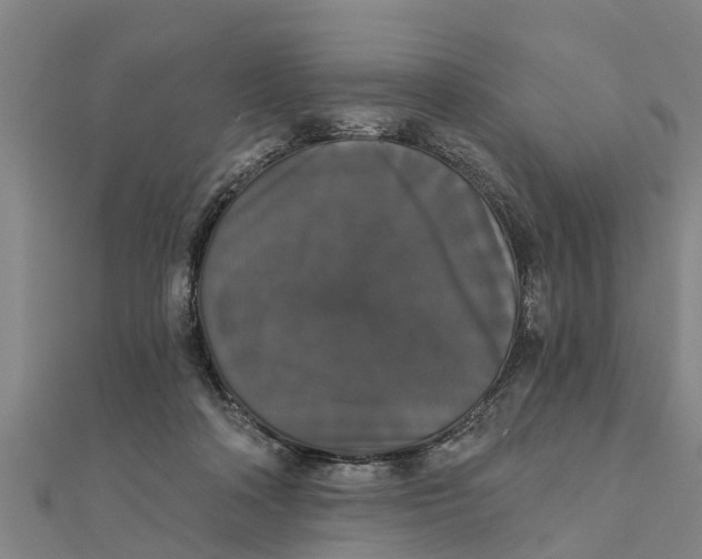 X0000111520314200908041249