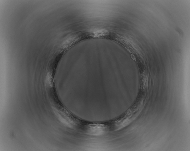 X0000111520316200908041249
