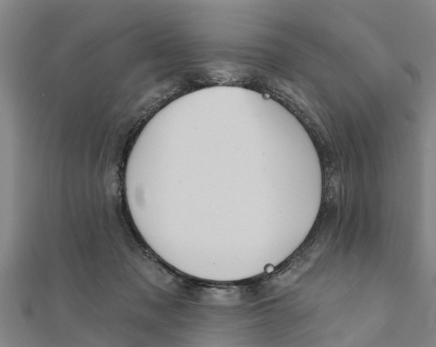 X0000111520317200908041249