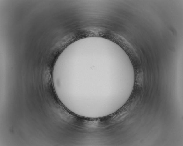 X0000111520318200908041249