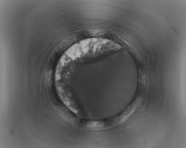 X0000111520319200908041249