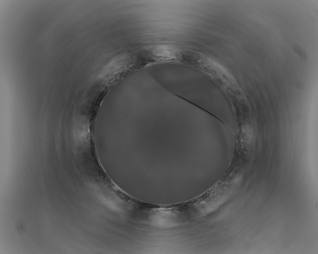 X0000111520320200908041249