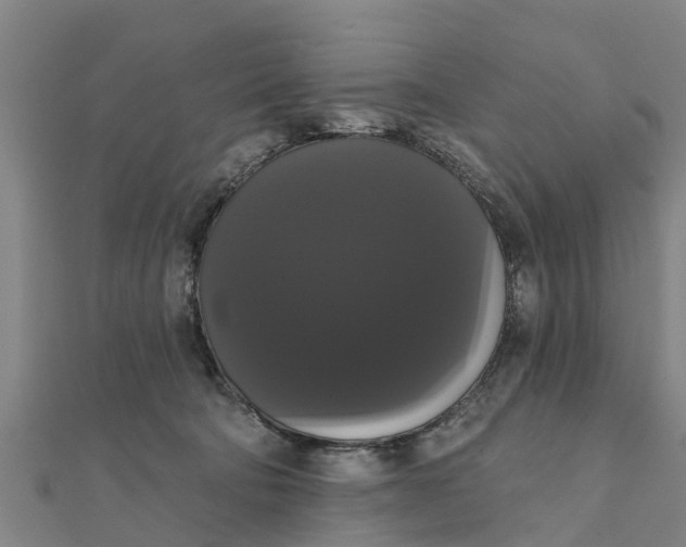 X0000111520322200908041249
