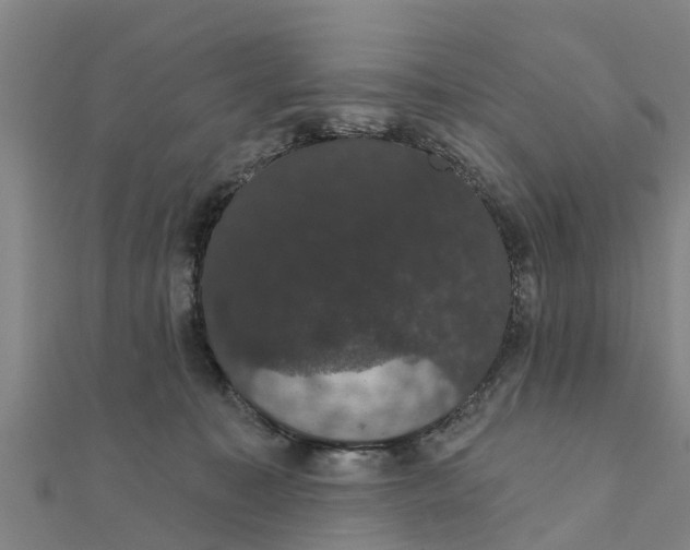 X0000111520323200908041249