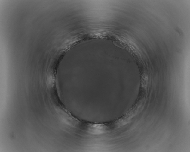 X0000111520324200908041249
