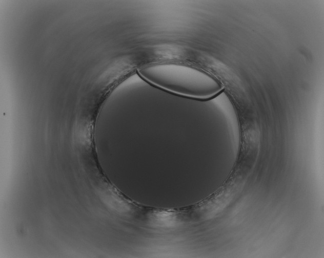 X0000111520325200908041249