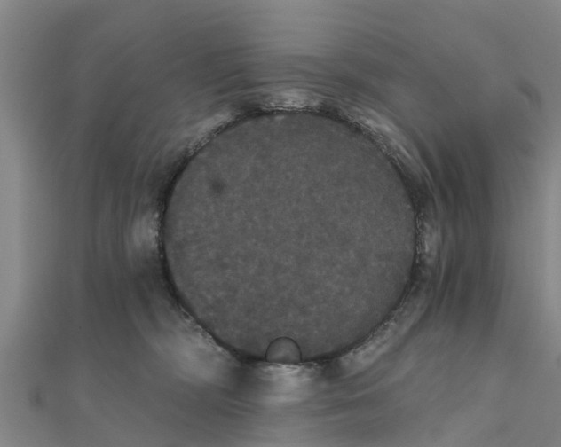X0000111520326200908041249