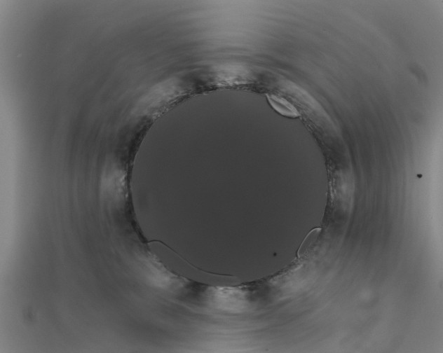 X0000111520327200908041249