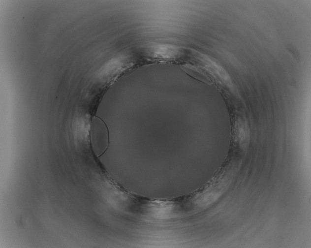 X0000111520328200908041249